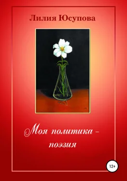 Лилия Юсупова Моя политика – поэзия обложка книги