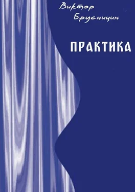 Виктор Брусницин Практика обложка книги