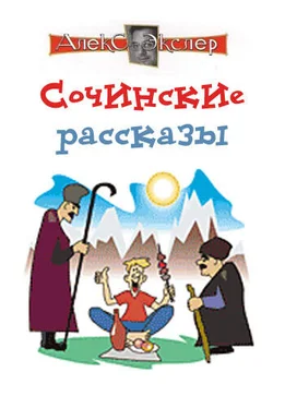 Алекс Экслер Сочинские рассказы обложка книги