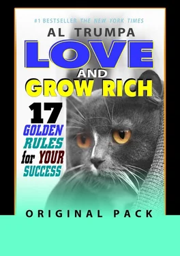 Al Trumpa Love And Grow Rich. 17 Golden Rules For Your Success. Original Pack обложка книги