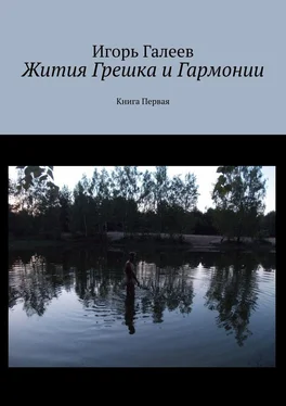 Игорь Галеев Жития Грешка и Гармонии. Книга Первая обложка книги