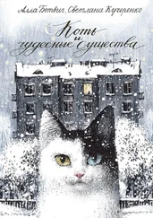 Алла Ботвич - Коть и чудесные существа