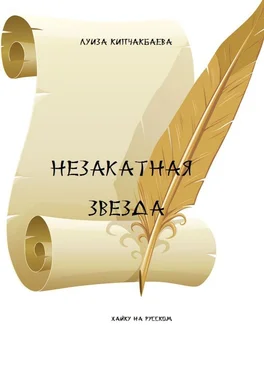 Луиза Кипчакбаева Незакатная звезда обложка книги