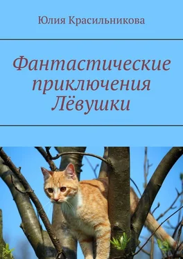 Юлия Красильникова Фантастические приключения Лёвушки обложка книги