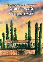 Екатерина Ивицкая - Хоккёкусей. Сила стихий