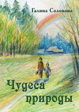 Галина Солонова Чудеса природы. Познавательные рассказы и сказки обложка книги