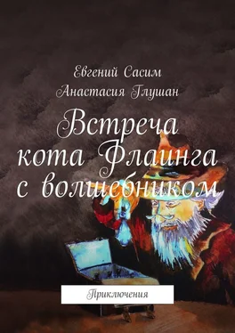 Анастасия Глушан Встреча кота Флаинга с волшебником. Приключения обложка книги