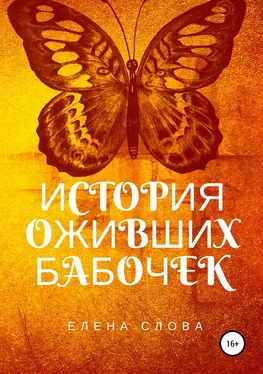 Елена Слова История оживших бабочек обложка книги