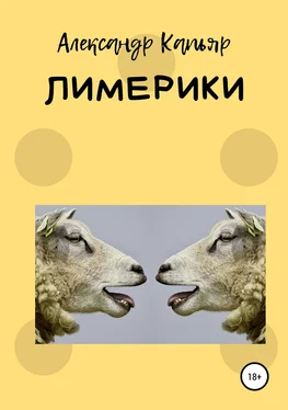 Александр Капьяр Лимерики обложка книги