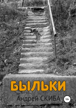 Андрей Скиба Быльки обложка книги