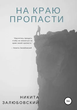 Никита Залюбовский На краю пропасти обложка книги