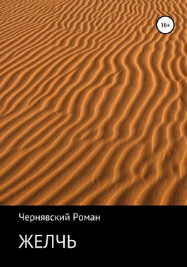 Роман Чернявский Желчь обложка книги
