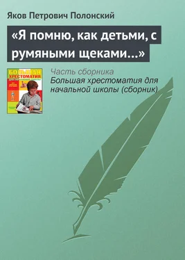 Яков Полонский «Я помню, как детьми, с румяными щеками…» обложка книги