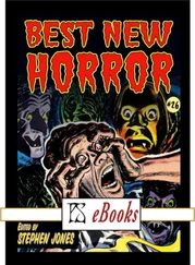 Stephen Jones - Best New Horror #26