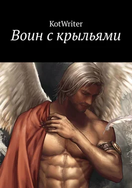 KotWriter Воин с крыльями обложка книги