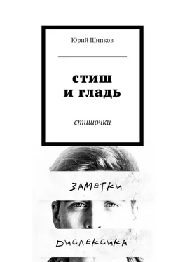 Юрий Шипков Стиш и гладь. Стишочки обложка книги