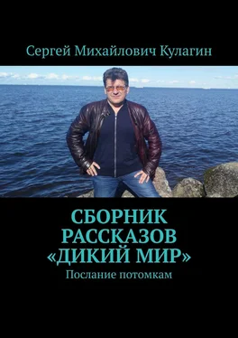 Сергей Кулагин Сборник рассказов «Дикий мир». Послание потомкам обложка книги