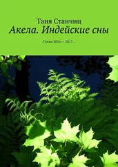 Таня Станчиц - Акела. Индейские сны. Стихи 2016—2017…