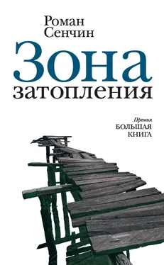 Роман Сенчин Зона затопления (сборник) обложка книги