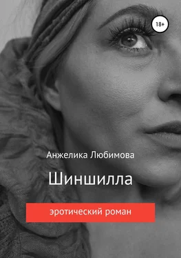 Анжелика Любимова Шиншилла обложка книги