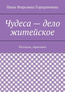 Нина Городничева Чудеса – дело житейское. Рассказы, зарисовки обложка книги