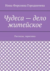 Нина Городничева - Чудеса – дело житейское. Рассказы, зарисовки