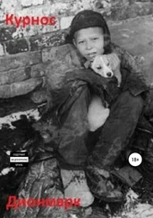 Денис Марков - Курнос