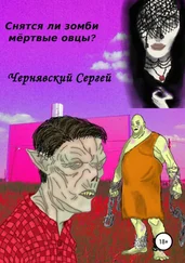 Сергей Чернявский - Снятся ли зомби мёртвые овцы?