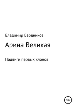 Владимир Бердников Арина Великая обложка книги