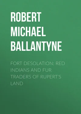 Robert Michael Ballantyne Fort Desolation: Red Indians and Fur Traders of Rupert's Land обложка книги