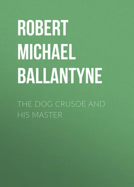 Robert Michael Ballantyne The Dog Crusoe and his Master обложка книги