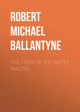 Robert Michael Ballantyne The Crew of the Water Wagtail обложка книги