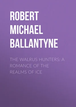 Robert Michael Ballantyne The Walrus Hunters: A Romance of the Realms of Ice обложка книги