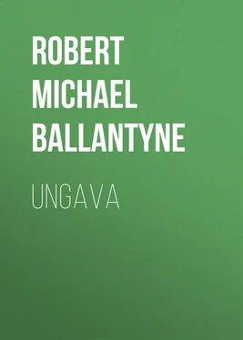 Robert Michael Ballantyne Ungava обложка книги