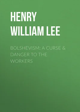 Henry William Lee Bolshevism: A Curse & Danger to the Workers обложка книги