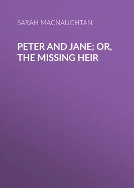 Sarah Macnaughtan Peter and Jane; Or, The Missing Heir обложка книги