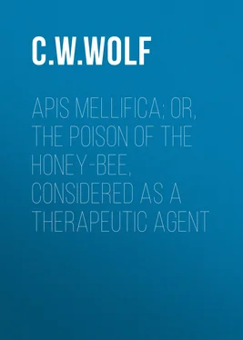 C. W. Wolf Apis Mellifica; or, The Poison of the Honey-Bee, Considered as a Therapeutic Agent обложка книги