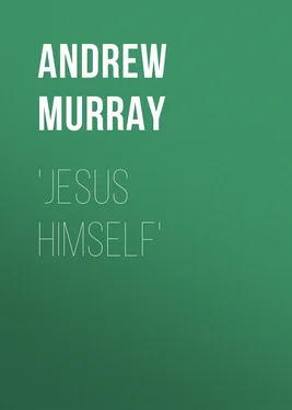 Andrew Murray Jesus Himself обложка книги