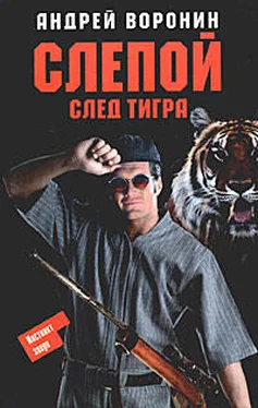 Андрей Воронин След тигра обложка книги