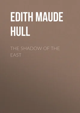 Edith Maude Hull The Shadow of the East обложка книги