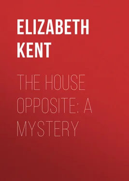 Elizabeth Kent The House Opposite: A Mystery обложка книги