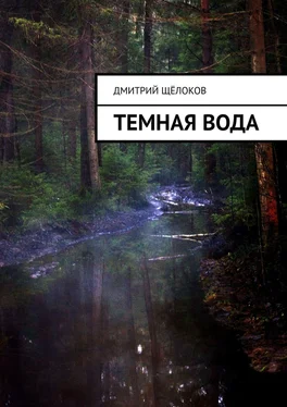 Дмитрий Щёлоков Темная вода обложка книги