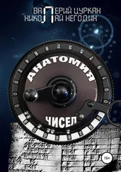 Николай Негодин - Анатомия чисел