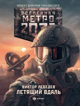 Виктор Лебедев Метро 2033: Летящий вдаль обложка книги