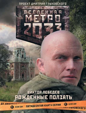 Виктор Лебедев Метро 2033: Рожденные ползать обложка книги
