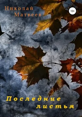 Николай Матвеев Последние листья обложка книги
