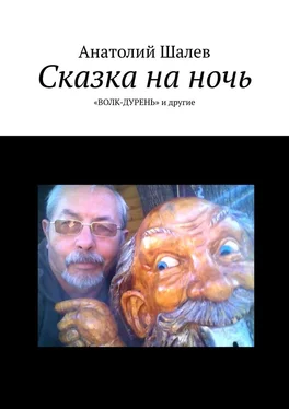 Анатолий Шалев Сказка на ночь. «Волк-дурень» и другие обложка книги