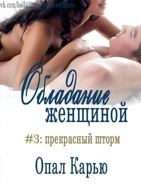 Opal Carew Perfect Storm (His to Possess#3) обложка книги