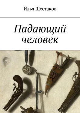 Илья Шестаков Падающий человек обложка книги