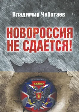 Владимир Чеботаев Новороссия не сдается. Посвящается героям Новороссии, павшим и живым обложка книги